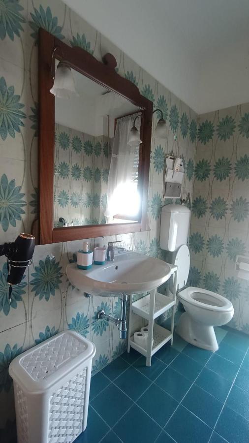 B&B L'Orchidea Pise Extérieur photo